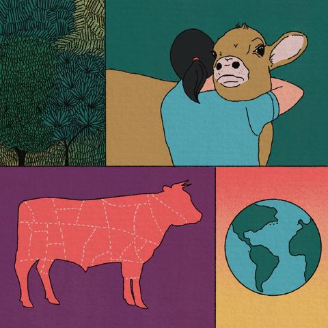 Comer o no comer carne, ¡esa es la cuestión!: una conversación sobre el consumo de alimentos de origen animal.