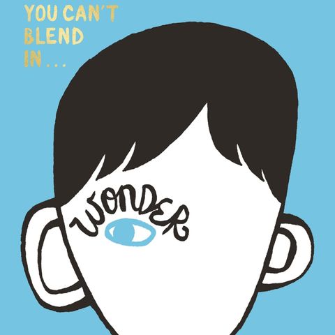 Wonder