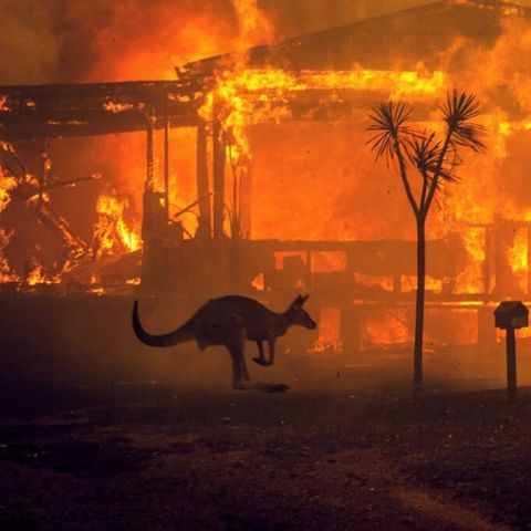 Che cosa c’entrano gli incendi in Australia con i cambiamenti climatici?