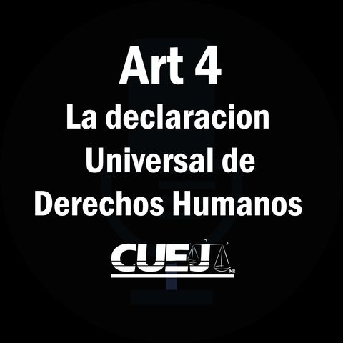 Articulo 4 declaración universal de Derechos Humanos