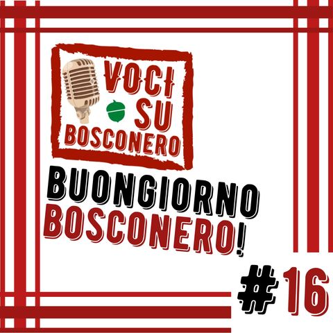 Solidarietà Bosconerese - #16
