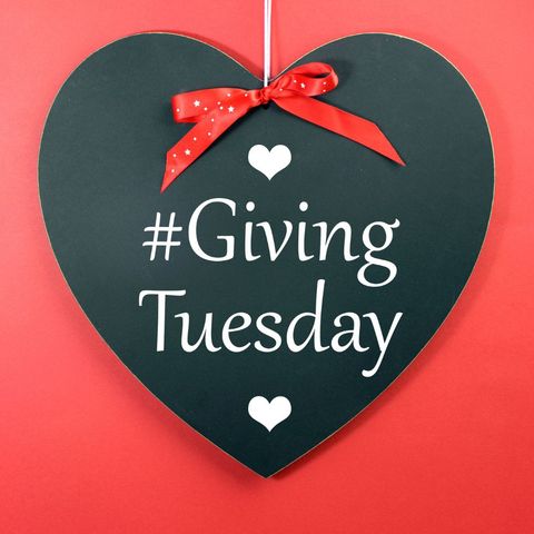 Today Is Giving Tuesday! Please Support These Organizations