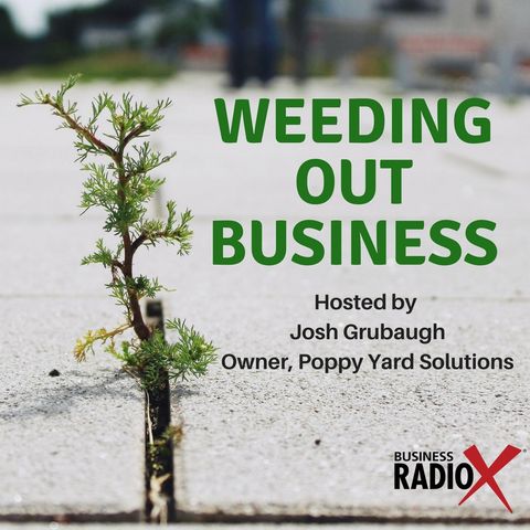 Tucson Business Radio - Weeding out Business ep 2