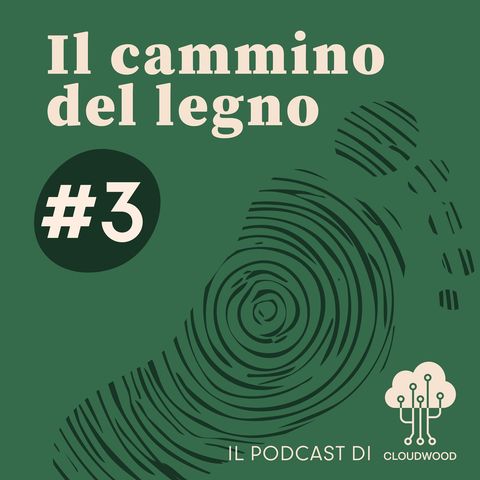 Passo 3 - Usi alternativi del cippato