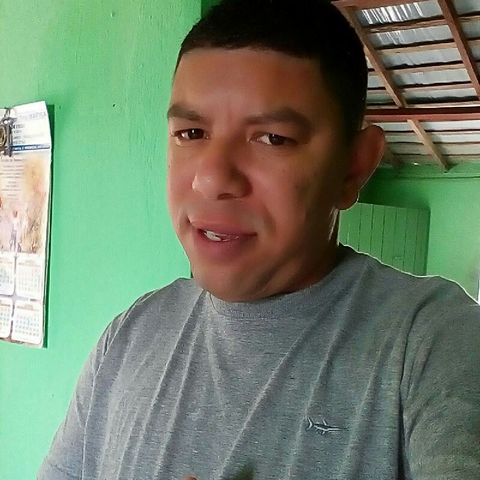 Teste