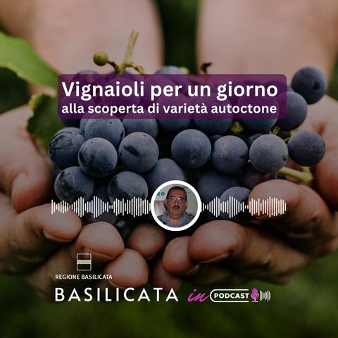 Vignaioli per un giorno, alla scoperta di varietà autoctone