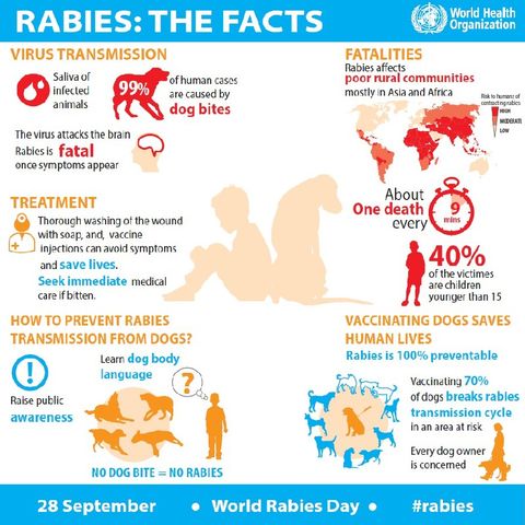 Rabies