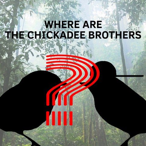 TRAILER: Where Are the Chickadee Brothers? Season 1