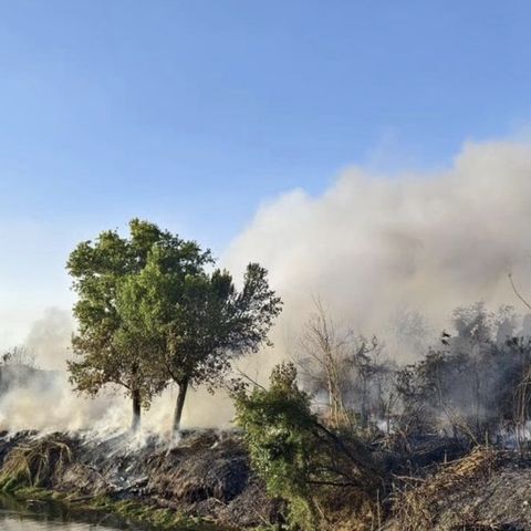 #578 Fiamme e scaricabarili, vacanze, scuole e università e altre storie di Roma