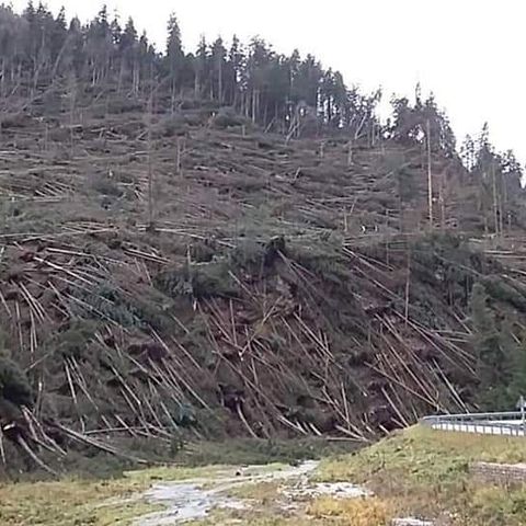 Sei anni fa la tempesta Vaia. Zaia: “Una lezione da cui abbiamo imparato molto”