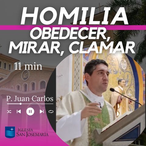 HOMILIA: Mirar, obedecer y clamar (11 min)