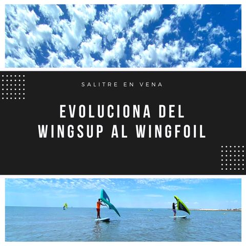 8 - Como evolucionar del WINGSUP al WINGFOIL