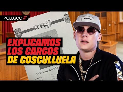 313. Abogado de Coscu habla con Molusco TV y explica los cargos a los que se enfrenta