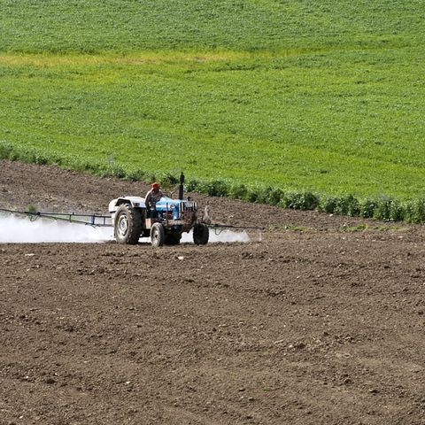 I pesticidi Non sfuggono ai nanosensori. Dalla Svezia una soluzione a basso costo