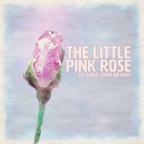 The Little Pink Rose by Sara Cohn Bryant