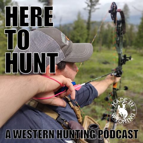 003 - Accurizing & Tuning Your Bow