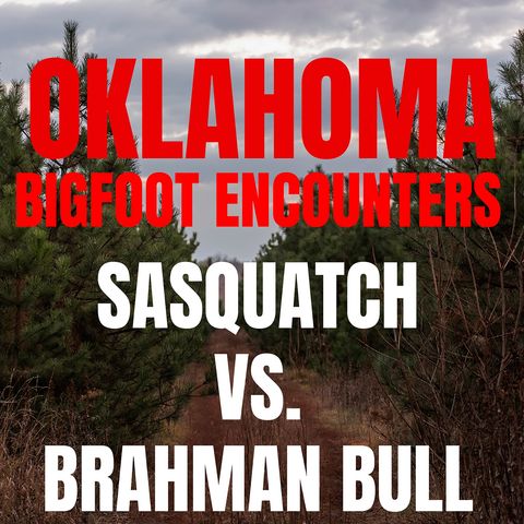 SASQUATCH THEORY|| BIGFOOT STORIES FROM OKLAHOMA|| IT FOUGHT WITH A BRAHMAN BULL!!!