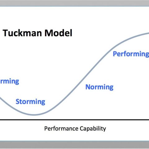 64. Il ciclo di Tuckman: la fase di Performing