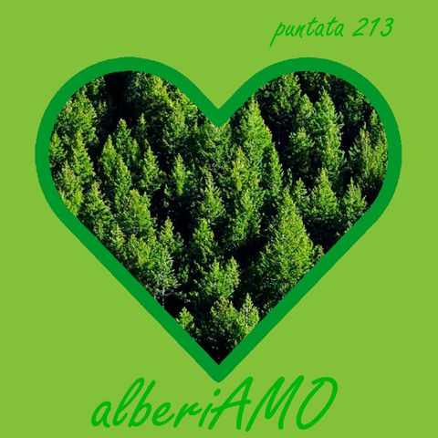 Puntata 213 - alberiAMO