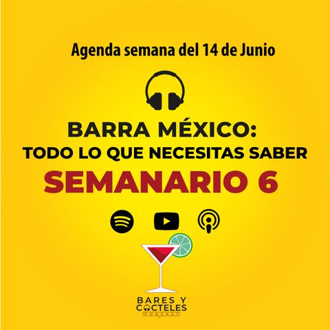 Semanario 6: Barra México y todo lo que necesitas saber.