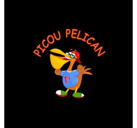 Author Leron Anthony Stewart/Creator of Picou Pelican Is On Air!