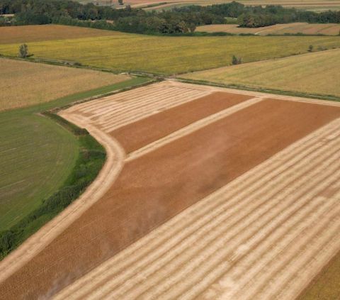 Dalla Ue tre strategie agricole per il recupero degli ecosistemi