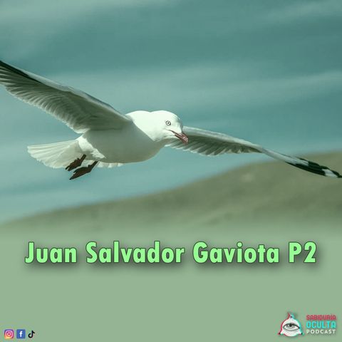 Juan Salvador Gaviota P2