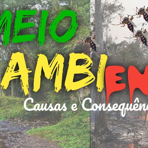 05 De Junho Dia Do Meio Ambiente