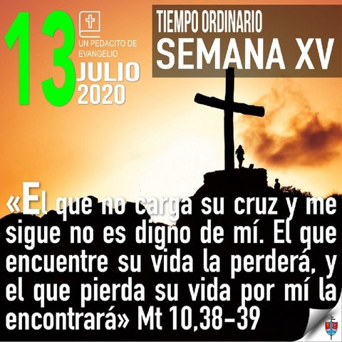 Homilía 13 Julio 2020 Educarnos en el amor