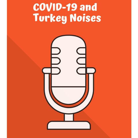 COVID-19 and Turkey Noises