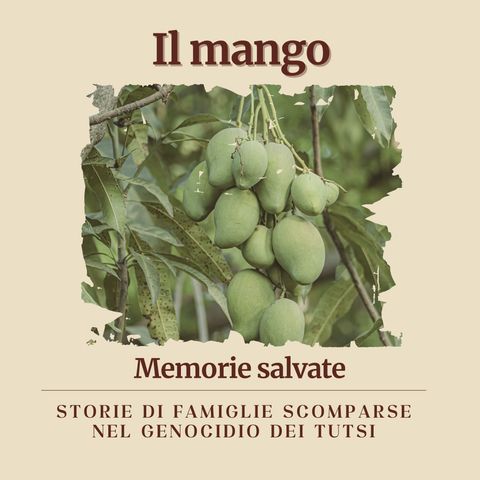 4. Il mango