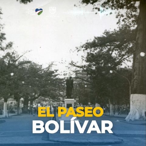 Un espacio protegido por grandes ceibas centenarias, es el Paseo Bolívar. 🌿
