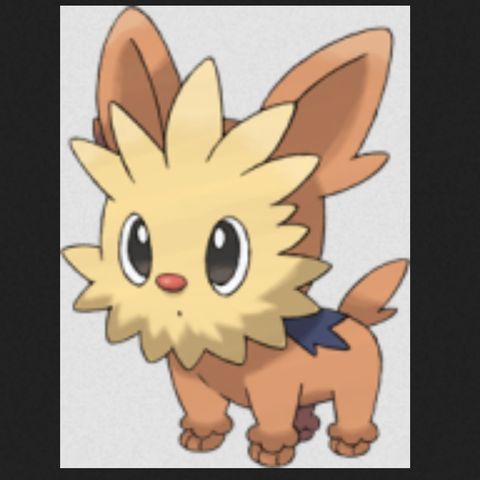 #506 Lillipup