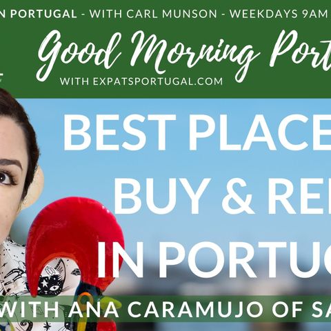 Best places to rent and buy in Portugal _ Savvy Cat Ana on Good Morning Portugal!