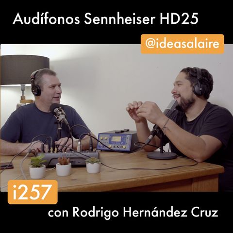i257 Audífonos Sennheiser HD25 - Review