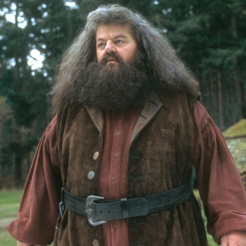 8 Things You Didn't Know About Hagrid