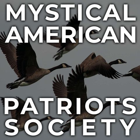 S4E028: 20 Geese & The Off-Loading of Agency