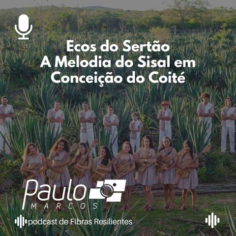 Ecos do Sertão - A Melodia do Sisal em Conceição do Coité