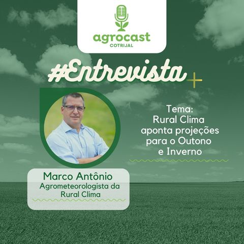 Restante da colheita terá clima favorável, afirma Rural Clima