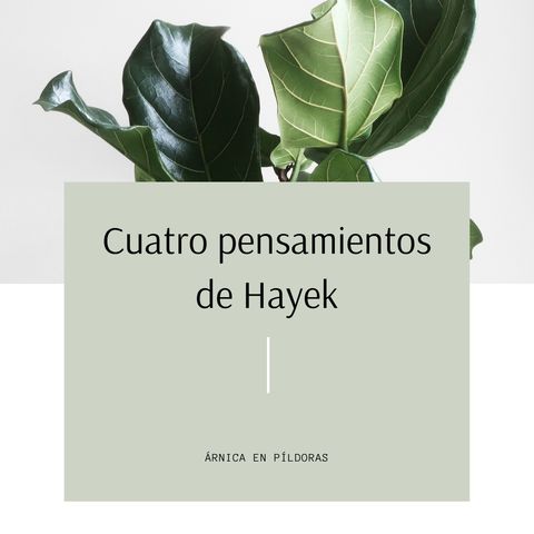 Cuatro pensamientos de Hayek