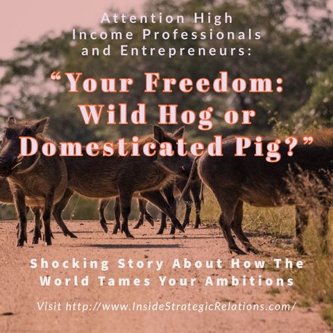 Story About Domesticating Hogs