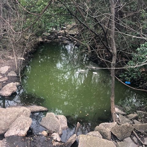 The source of green water in Bryan's Burton Creek was from a dye used to test a sewer line.