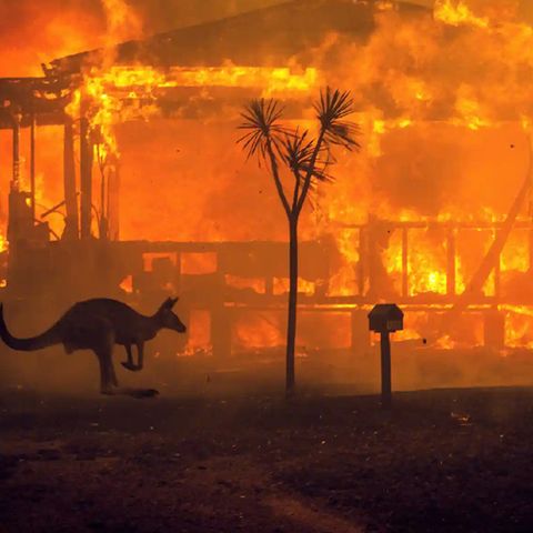 Avustralyada Orman Yangını Krizi