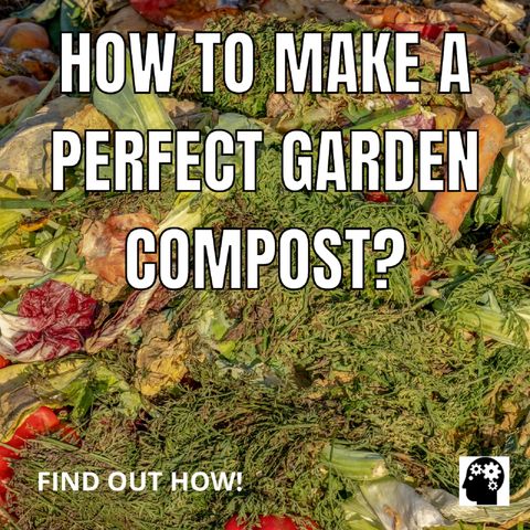 How to make a homemade compost for your plants?
