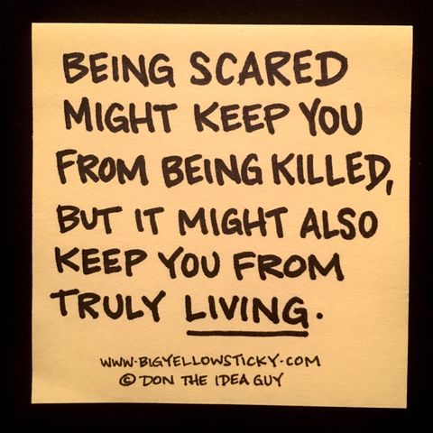 Living Scared : BYS 242