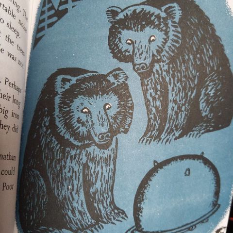 The Bears on Hemlock Mountain chapter 9
