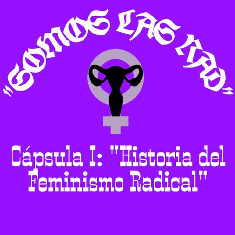 Cápsula I: "Historia Del Feminismo Radical" 💜🖤