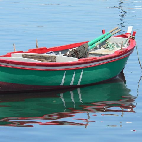 La barca