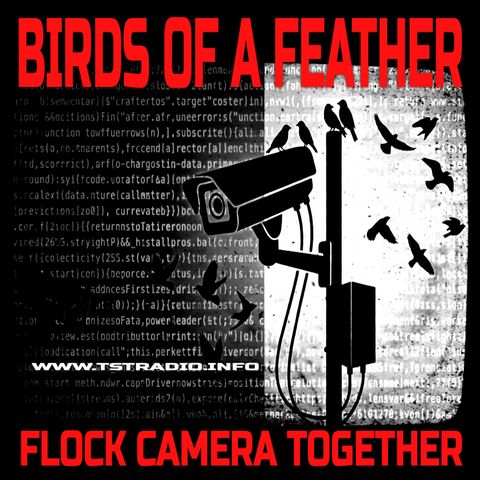 Birds of a Surveillance Feather FLOCK CAMERA Together (July 14, 2026)