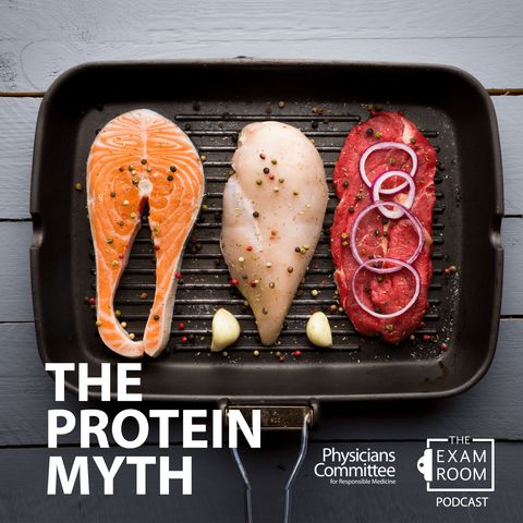 The Protein Myth